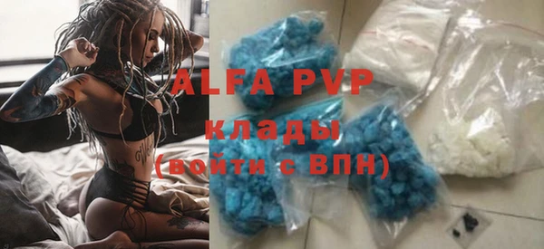 спиды Инта