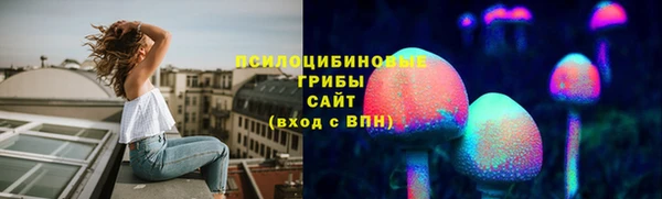 спиды Инта