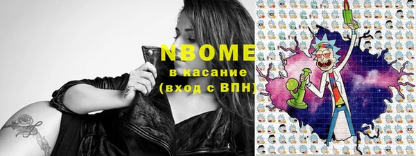 прущая мука Инсар