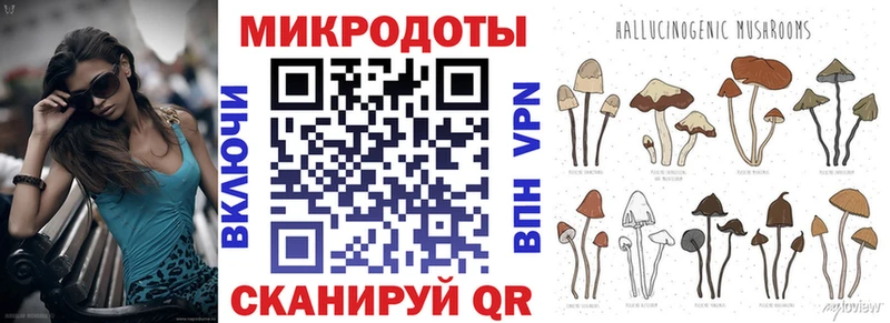 закладка  Кирсанов  Галлюциногенные грибы мухоморы 